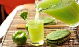 Cây xương rồng - không những ăn ngon mà còn là 'siêu thực phẩm' chữa bệnh cực tốt