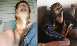 Cười té ghế trước những hình ảnh 'có một không hai'