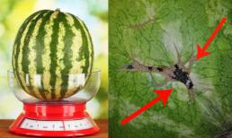 Chỉ cần nhìn bề ngoài cũng có thể chọn được quả dưa hấu ngon, mọng nước