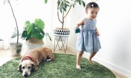 'Công chúa nhỏ' dễ thương của cựu Hoa hậu thế giới Trương Tử Lâm