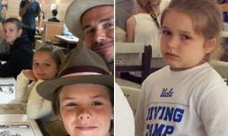 Khuôn mặt bụ bẫm dễ cưng của Harper mỗi lần được đi ăn uống