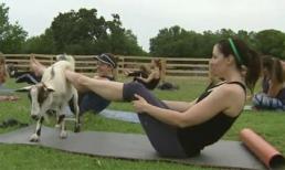 Cười bể bụng trước những hình ảnh thật giả lẫn lộn