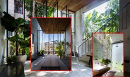 Nhà ống xanh mướt, mát lịm mang phong cách Nhật tại Sài Gòn