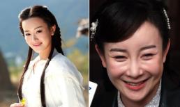 Nhan sắc và sự nghiệp tụt dốc của sao nữ giật chồng đồng nghiệp