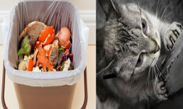 Vô tình để 3 giọt giấm rơi vào thùng rác, kết quả qua đêm không thể tin được