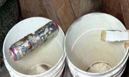 Mẹo hay: Cách bẫy chuột đơn giản mà hiệu quả bất ngờ