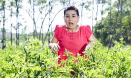 Cát Phượng xin lỗi vì vắng mặt tại họp báo phim vì nhập viện 