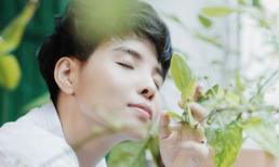 Nếu buồn chán, hãy xem loạt hình cực yêu của Vũ Cát Tường