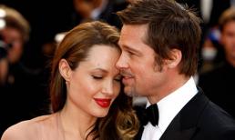 Angelina Jolie và Brad Pitt tái hợp chỉ là trò bịa đặt?