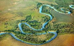 Ở đời! Người khôn ngoan quá chưa hẳn là tốt