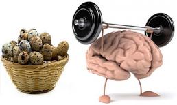 Trứng chim cút - viên thuốc bổ não của tự nhiên và thần dược cho sức khỏe gia đình bạn