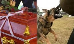 Để lẫn sợi dây 10 chỉ vàng vào quan tài của mẹ, con trai tiếc của đòi mở nắp quan lấy lại cho bằng được