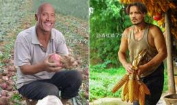 'Cười nghiêng ngả' khi xem loạt ảnh chế sao Hollywood thu hoạch rau, củ, quả cực bá đạo