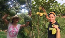 Khu vườn rộng, nhiều cây trái của NSƯT Chiều Xuân