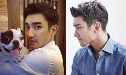 CEO nhà hàng cao cấp bị chó của nam ca sĩ Choi Siwon cắn dẫn đến tử vong