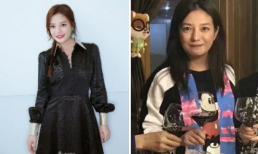 2 khung hình phản ánh diện mạo và phong cách khác biệt của 'Én nhỏ' Triệu Vy 