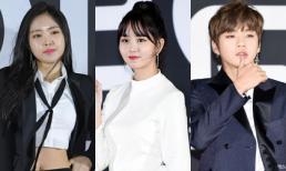 'Nam thanh nữ tú' Kpop đổ bộ thảm đỏ Busan