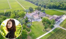 Trang trại nho trị giá hàng tỷ đồng của Triệu Vy được 'lên sóng' truyền hình Pháp