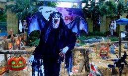 Những địa điểm vui chơi Halloween 2017 'rùng rợn' nhất Hà Nội và Sài Gòn