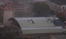 Sự khủng khiếp của cơn bão số 12 khi đổ bộ vào Khánh Hòa