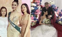 Tin sao Việt 5/11/2017: Hà Thu gửi lời xin lỗi sau Chung kết Miss Earth, hé lộ hậu trường chụp ảnh cưới của Kha Mỹ Vân
