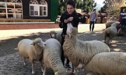 Tận hưởng chuyến du lịch tuyệt vời tại Đài Loan cùng Quang Vinh