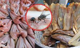 Mẹo hay đuổi ruồi ra khỏi cá, thịt phơi khô hàng ngày