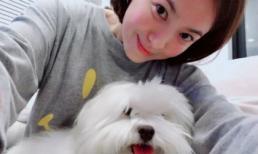 Vừa trở về Hàn Quốc, Song Hye Kyo được thanh minh chuyện bầu bí