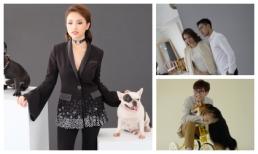 14 BTV, MC truyền hình, diễn viên nổi tiếng góp mặt trong bộ lịch Tết 2018