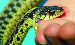 8 kỹ năng sinh tồn ai cũng phải biết để nếu rơi vào cảnh “ngàn cân treo sợi tóc” vẫn thoát chết