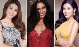 'Dành cả thanh xuân' thi nhan sắc nhưng những người đẹp Việt này chưa một lần chạm tới vương miện 