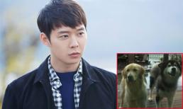 Park Yoochun bị đòi bồi thường 25 tỷ đồng vì để chó cắn người từ 7 năm trước