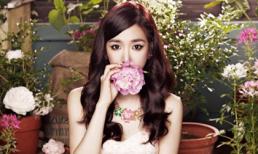 Top 3 con giáp trúng quả trời cho, kiểu gì cũng giàu sụ, phát tài phát lộc kể từ tháng 3 này trở đi