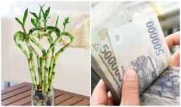 Những điềm lành cho biết bạn sắp gặp nhiều may mắn 