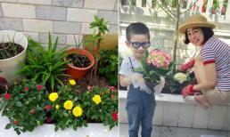 Khu vườn nhỏ tràn ngập các loại hoa quả trong căn hộ của MC Thanh Thảo Hugo
