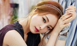 Những con giáp có tiềm năng đổi đời thành ông chủ bà chủ năm 2018