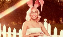 Chỉ vì điều này mà Miley Cyrus lại dính tin đồn bầu bí 