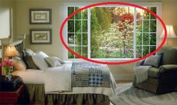 Trang trí cửa sổ ngôi nhà hợp phong thủy để 'nhân đôi' tài lộc tài vượng cả năm