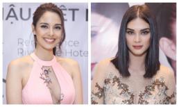 Hoa hậu Thế giới Megan Young đẹp như thiên thần, Hoa hậu Hoàn vũ Pia Wurtzbach nói về sự cố trao nhầm vương miện