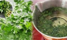 Bạn đã biết cách chế biến rau mùi để chữa bách bệnh chưa?