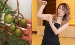 Cười ngất với màn giới thiệu 'cây nhà lá vườn' siêu lầy lội của Mỹ Tâm