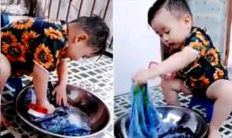 Bé trai 3 tuổi tự tay giặt quần áo như người lớn khiến dân mạng thích thú