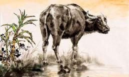 3 con giáp dễ bị tiểu nhân ngáng đường, hao tài tốn của cuối tháng 6 này