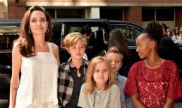 Angelina Jolie lên tiếng trước thông tin cô có nguy cơ mất quyền nuôi con