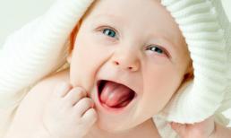 Sinh con thuộc 3 con giáp này bố mẹ an nhàn, ngồi hưởng phú quý cả đời