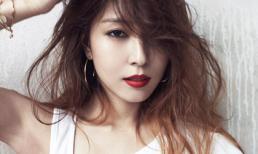 Top những con giáp 'túc trí đa mưu' nhiều đường đi nước bước nhất trong 12 con giáp