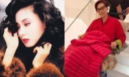 Đời buồn của Á hậu Hong Kong: 14 tuổi vất vả kiếm tiền nuôi gia đình, khi giàu có lại bị bệnh tật giày vò