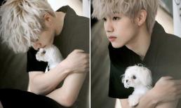 Thú cưng của loạt sao Hàn 'làm mưa làm gió' trên Instagram chẳng thua gì chủ nhân