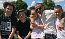 Đi nghỉ ở Indonesia, gia đình David Beckham không khỏi choáng váng vì trận động đất làm hàng trăm người thiệt mạng