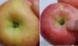 Táo cũng được chia giới tính - chỉ cần 3 bước này bạn sẽ chọn được táo ngon, ngọt hết cỡ